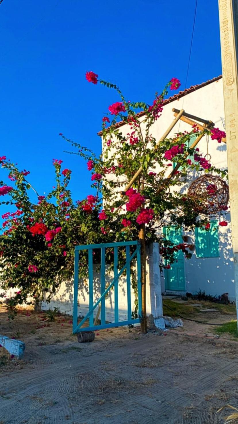 Pousada Casa Verde 卡诺格布拉达 外观 照片